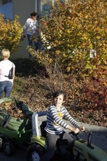 2015-11-07 - Journée Verte 2015 - 20
