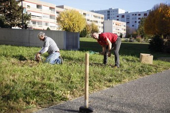 2015-11-07 - Journée Verte 2015 - 31