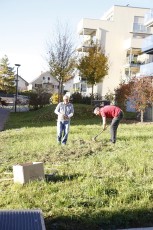 2015-11-07 - Journée Verte 2015 - 37