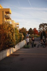 2015-11-07 - Journée Verte 2015 - 73