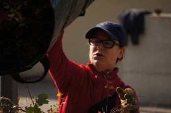 2017.10.28 - Journée Verte 2017 - 063