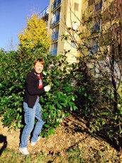 2015-11-07 - Journée Verte 2015 - 03