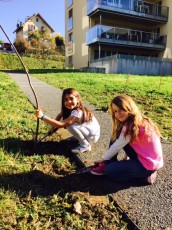 2015-11-07 - Journée Verte 2015 - 04