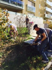 2015-11-07 - Journée Verte 2015 - 06