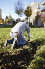 2015-11-07 - Journée Verte 2015 - 32