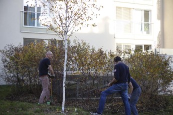 2015-11-07 - Journée Verte 2015 - 41