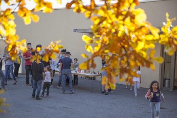 2015-11-07 - Journée Verte 2015 - 49