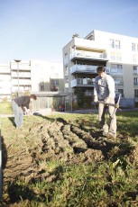 2015-11-07 - Journée Verte 2015 - 57