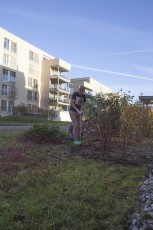 2015-11-07 - Journée Verte 2015 - 58