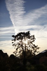 2015-11-07 - Journée Verte 2015 - 60