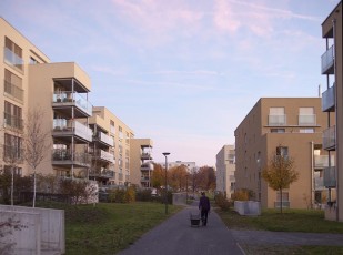 2015-11-07 - Journée Verte 2015 - 88