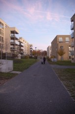 2015-11-07 - Journée Verte 2015 - 89