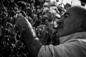 2017.10.28 - Journée Verte 2017 - 038