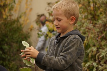 2017.10.28 - Journée Verte 2017 - 074