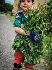 2018.04.28 - Journée Verte - 23