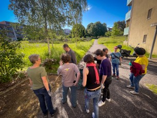 2024.05.18-Matinee-Desherbage-09